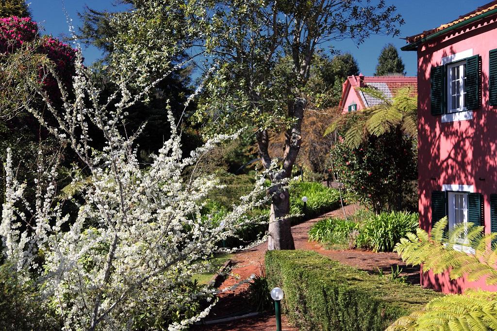 Quinta Santo Antonio Da Serra Exteriér fotografie