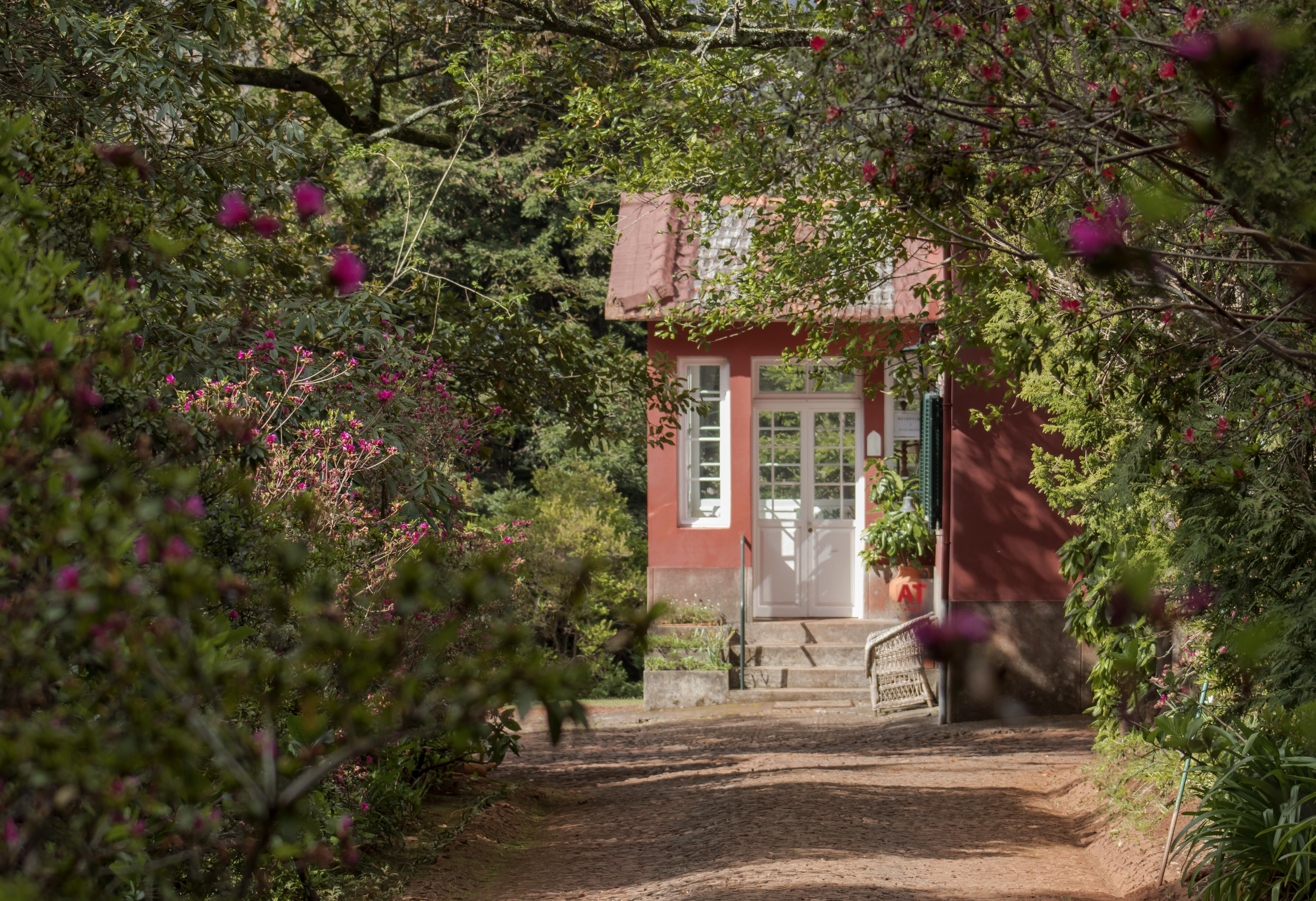 Quinta Santo Antonio Da Serra Exteriér fotografie