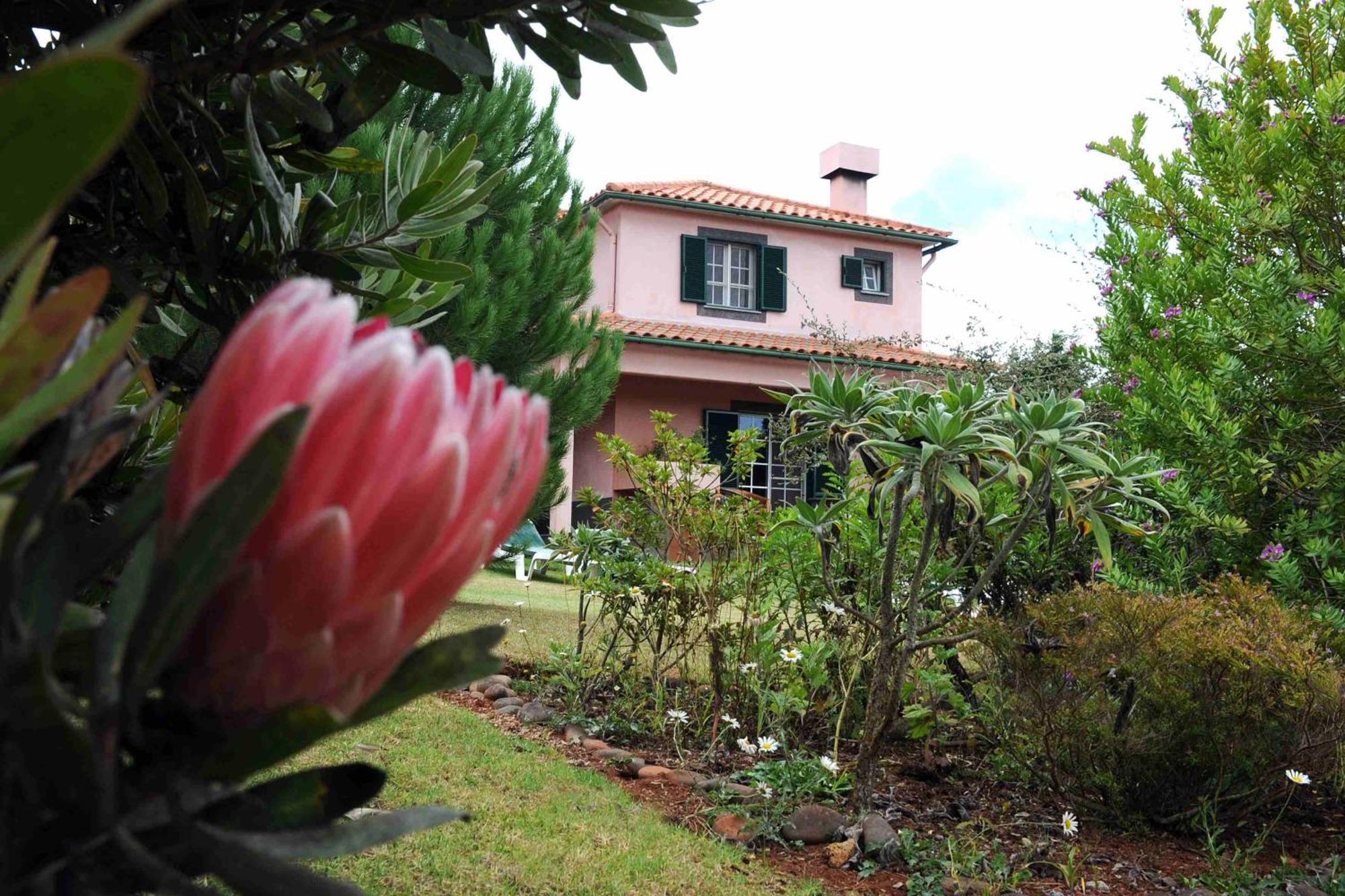 Quinta Santo Antonio Da Serra Exteriér fotografie