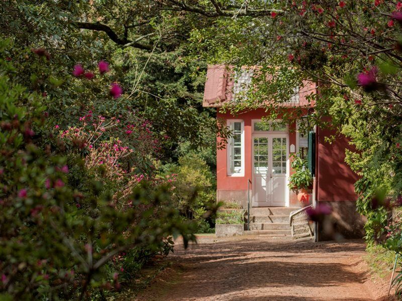 Quinta Santo Antonio Da Serra Exteriér fotografie